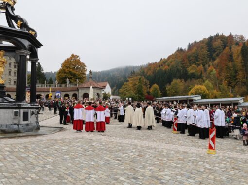 BS5A5045-web-min Prozessionsteilnehmer mit Mutergottesstatue am Platz vor dem Kloster Einsiedeln vor Gedenkstatue